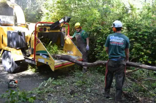 tree services Pocatello